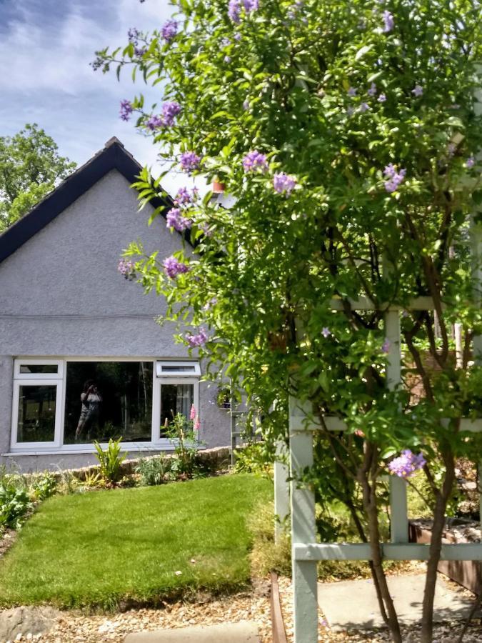 Pentre Isaf Bed & Breakfast Конуи Екстериор снимка