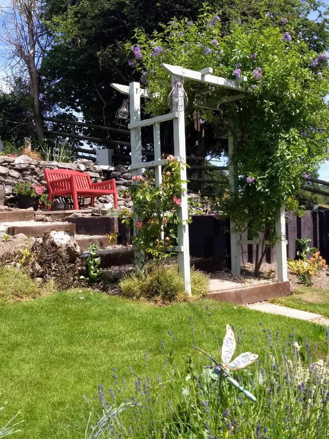 Pentre Isaf Bed & Breakfast Конуи Екстериор снимка