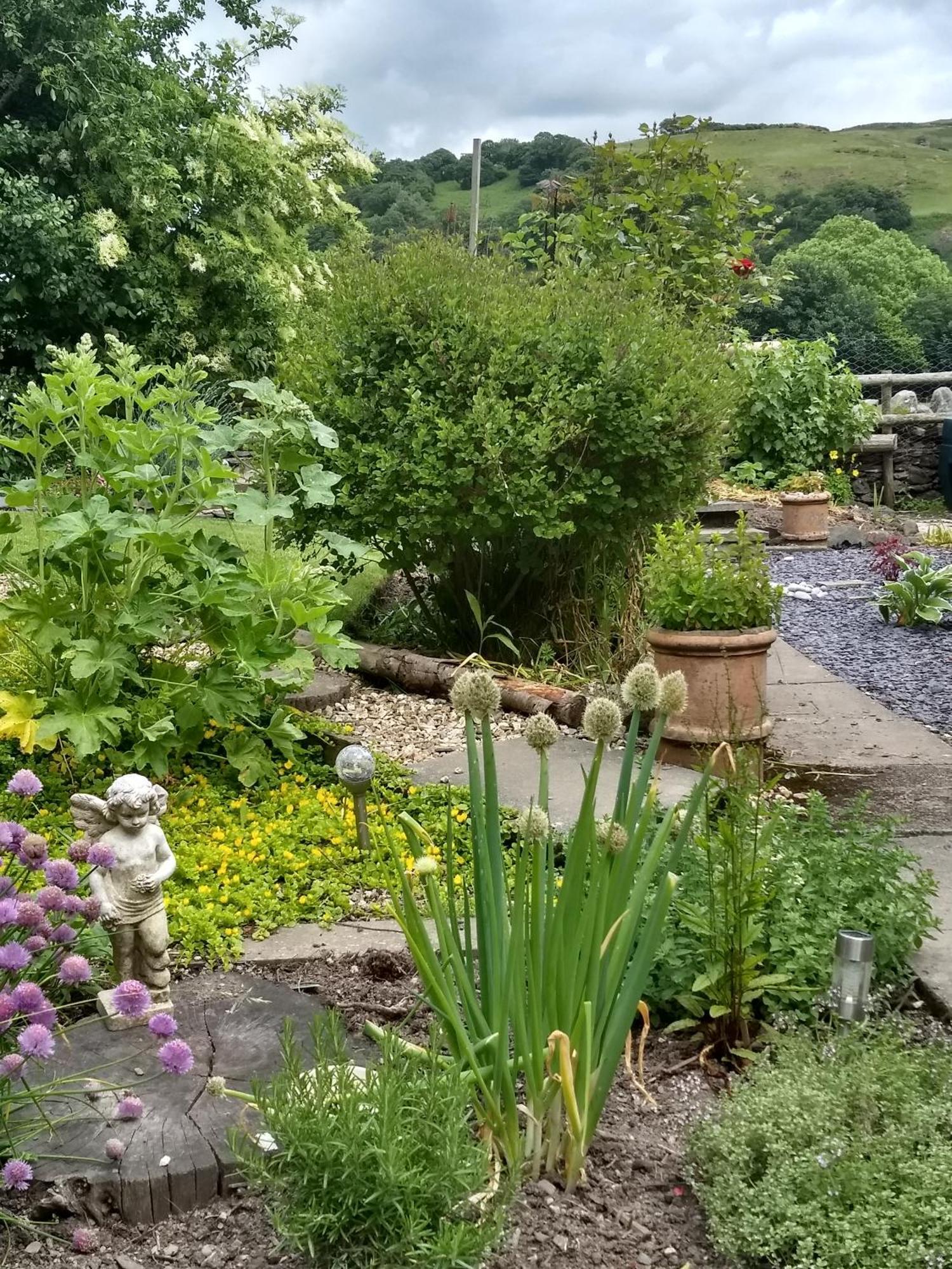 Pentre Isaf Bed & Breakfast Конуи Екстериор снимка